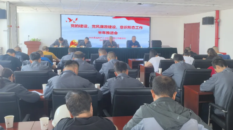 工投公司黨委召開黨的建設、黨風廉政建設、意識形態工作半年推進會